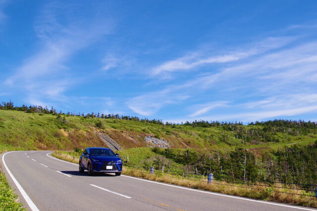 レクサスNXの特徴とは？～小柄ながらも溢れる高級感と存在感～